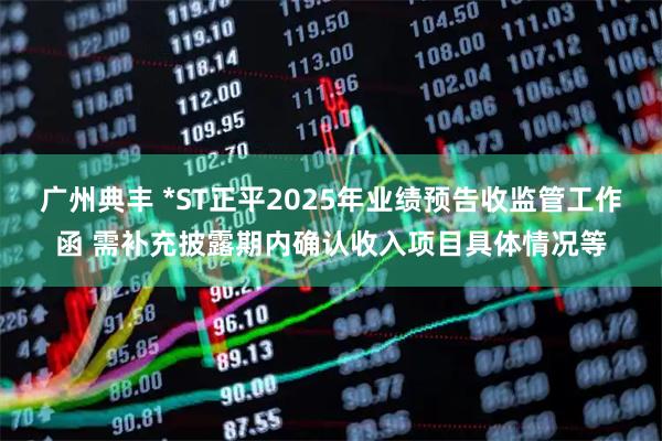 广州典丰 *ST正平2025年业绩预告收监管工作函 需补充披露期内确认收入项目具体情况等
