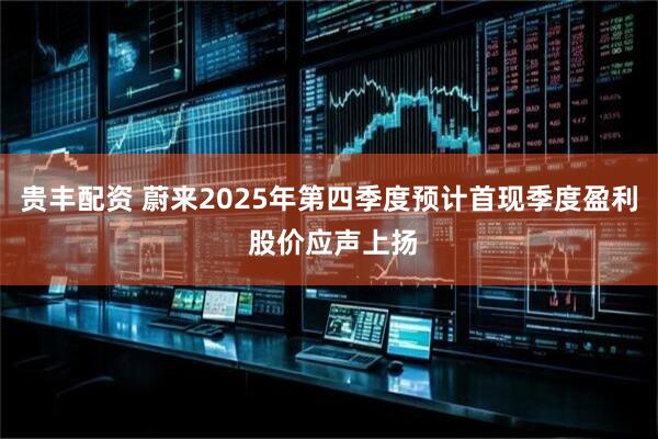 贵丰配资 蔚来2025年第四季度预计首现季度盈利 股价应声上扬