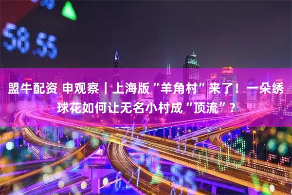 盟牛配资 申观察｜上海版“羊角村”来了！一朵绣球花如何让无名小村成“顶流”？