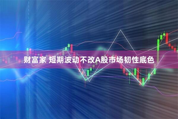 财富家 短期波动不改A股市场韧性底色